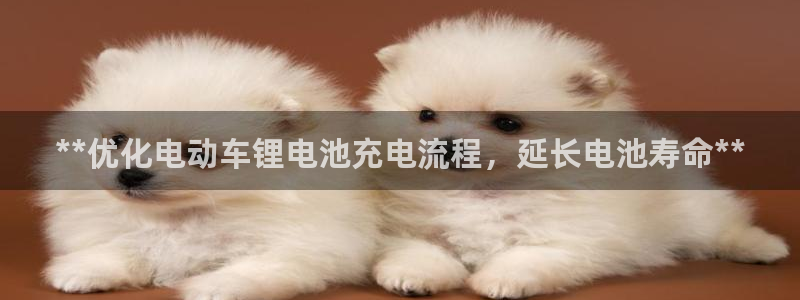 z6尊龙凯时ag旗舰厅