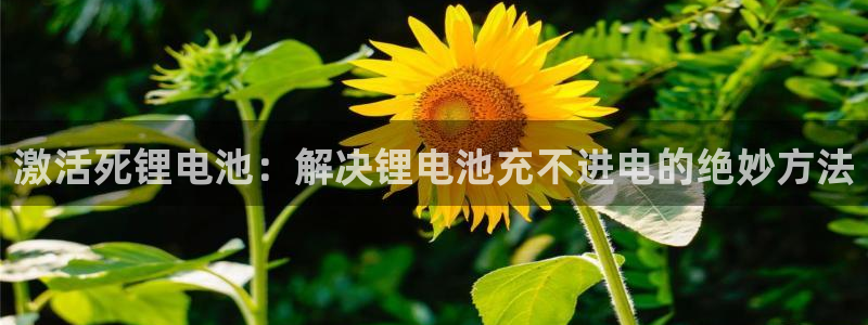 尊龙体育怎么样