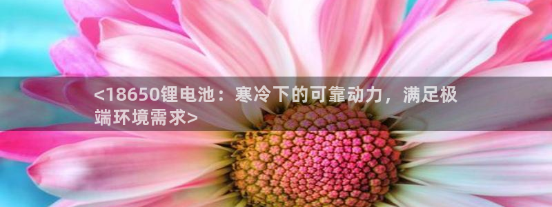 尊龙凯时老板