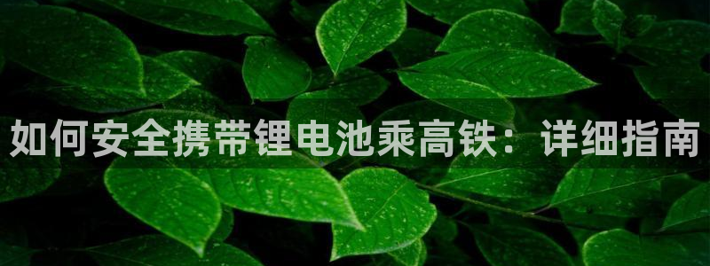 尊龙人生手机版