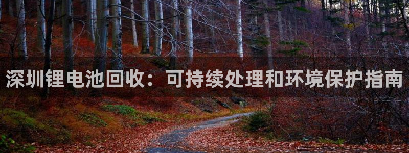 凯时官网app下载官方网站