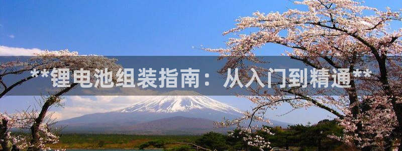 尊龙凯时网站怎么样