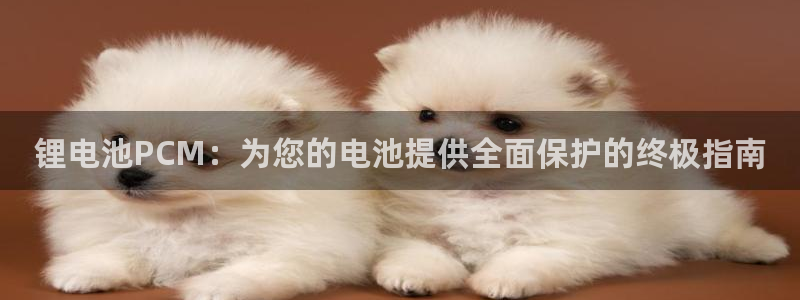 尊龙凯时是不是合法