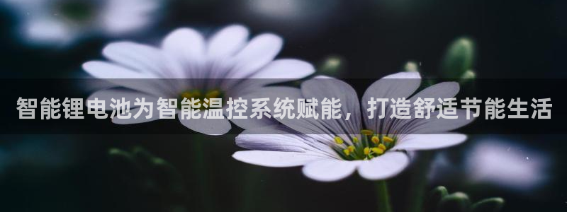 尊龙官网免费下载安卓