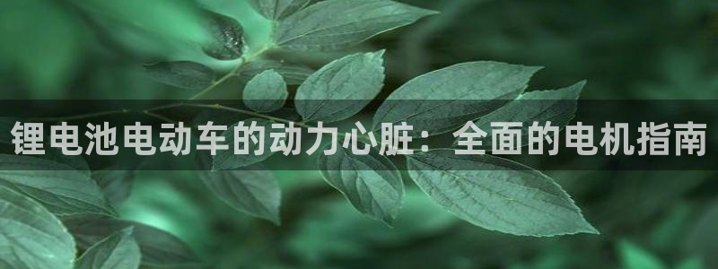 尊龙手机官方客户端下载安装