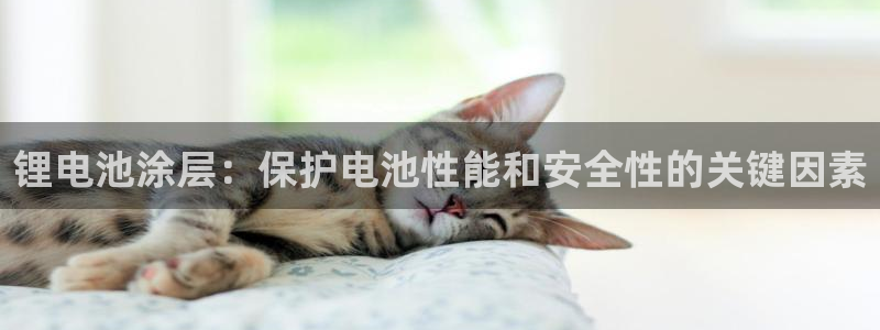 尊龙凯时是不是合法
