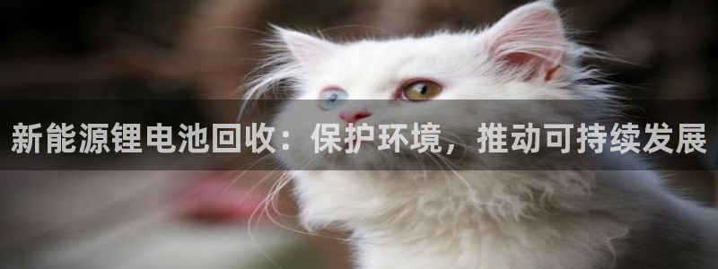 z6com尊龙凯时百家乐下载