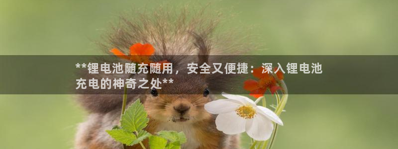 尊龙凯时是哪个国家的