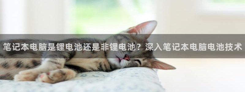 尊龙官网在哪里