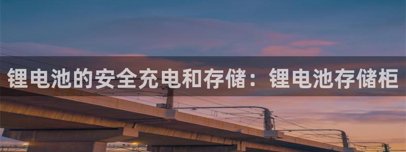 尊龙凯时电竞