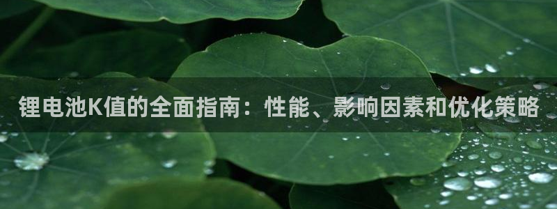 尊龙凯时旗舰厅官网