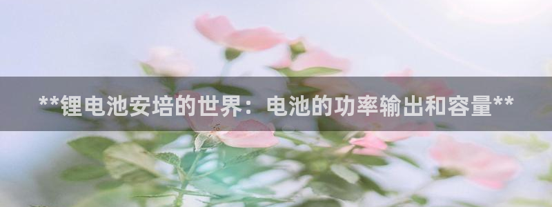 z6尊龙凯时旗舰厅首页