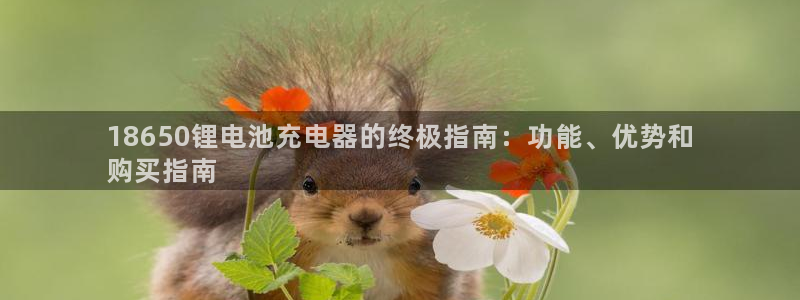 尊龙目前情况