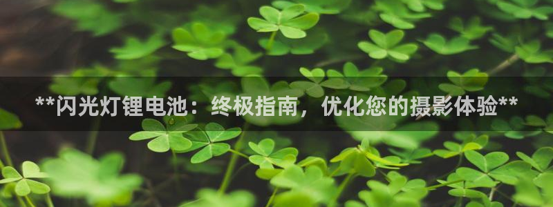尊龙凯时品牌介绍