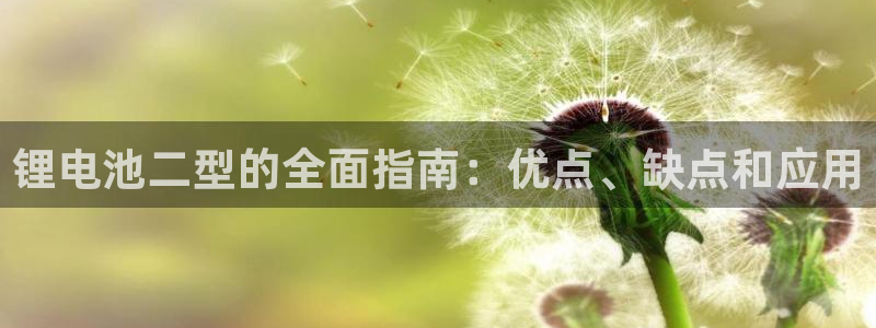 尊龙凯时人生就是博·(中国)官网
