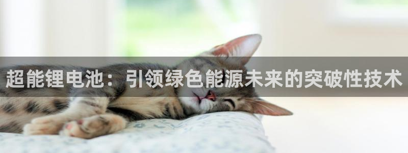 尊龙凯时请求参数不符合