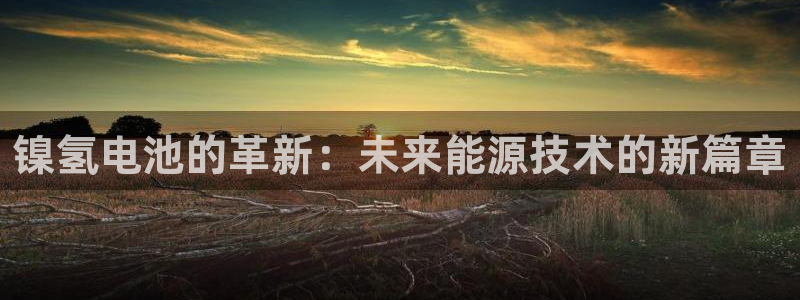 尊龙凯时只输不赢