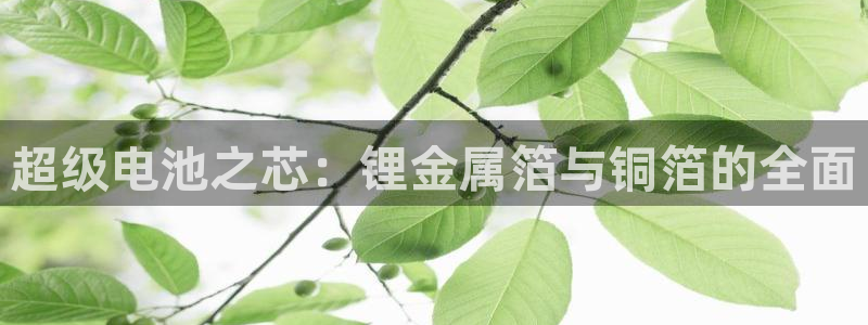 凯时kb88·中国官方网站