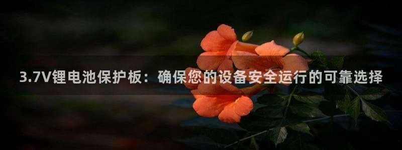 尊龙凯时俱乐部