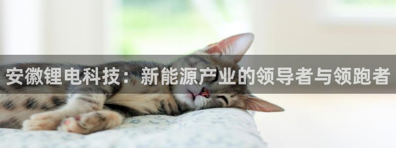 凯时平台怎么样