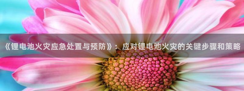 尊龙网址苹果版下载