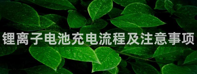 尊龙凯时是直营吗