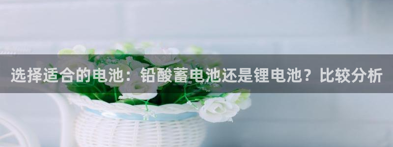 z6com尊龙凯时