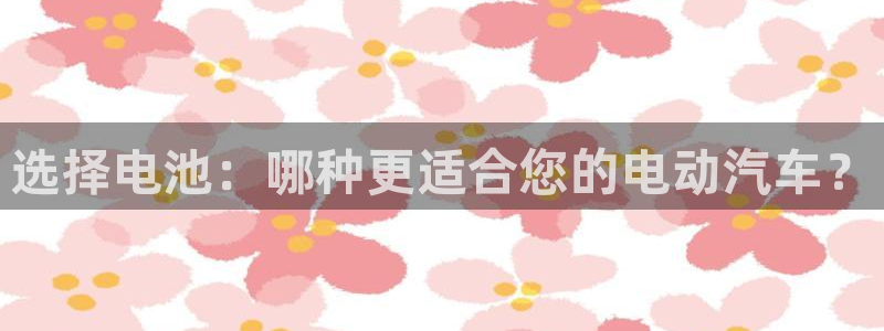 凯时kb88·中国官方网站