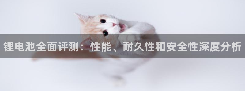 尊龙科技