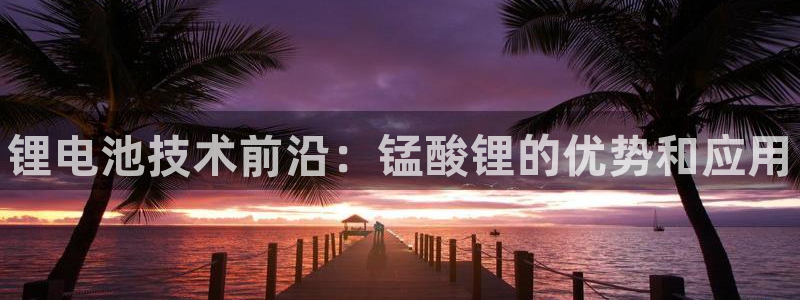 尊龙人生就是博首页入口：锂电池技术前沿：锰酸锂的优势和应用