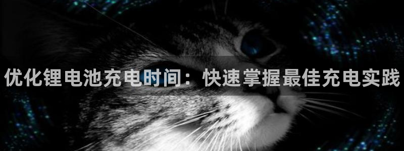 尊龙凯时登陆入口：优化锂电池充电时间：快